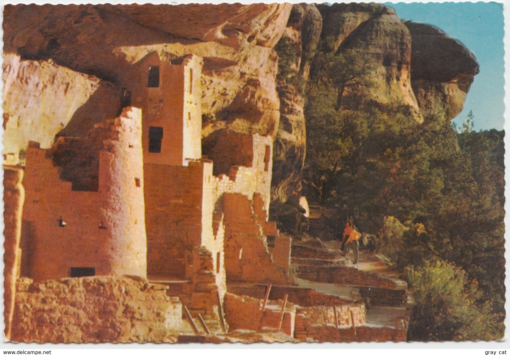 CLIFF PALACE, Mesa Verde National Park, Colorado, Unused Postcard [20958] - Mesa Verde