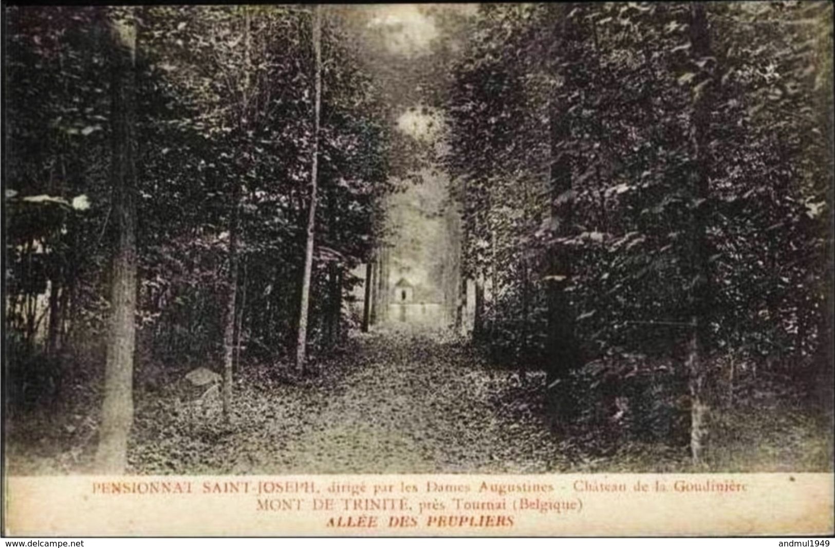 MONT De TRINITE (Tournai) - Pensionnat St-Joseph - Château De La Goudinière - Allée Des Peupliers - N'a Pas Circulé - Doornik