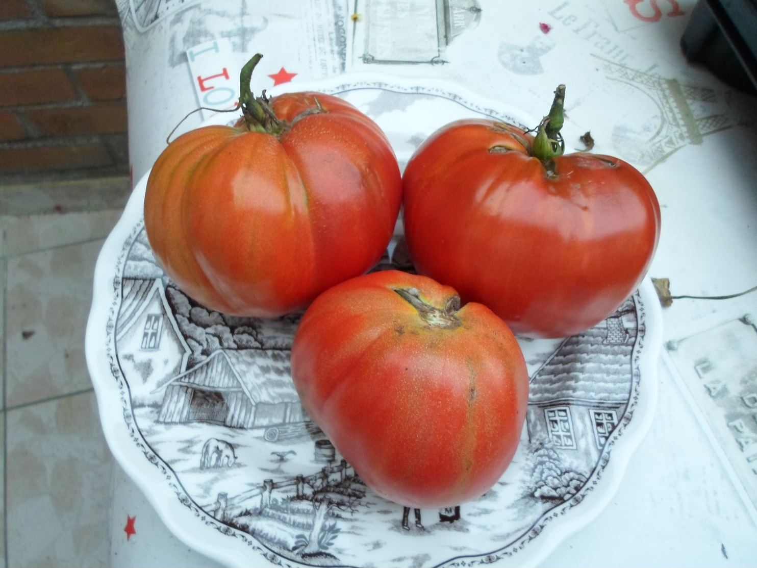 Semence Potagère : + De 10 Variétés De Graines De Tomates Et Piment - Other & Unclassified