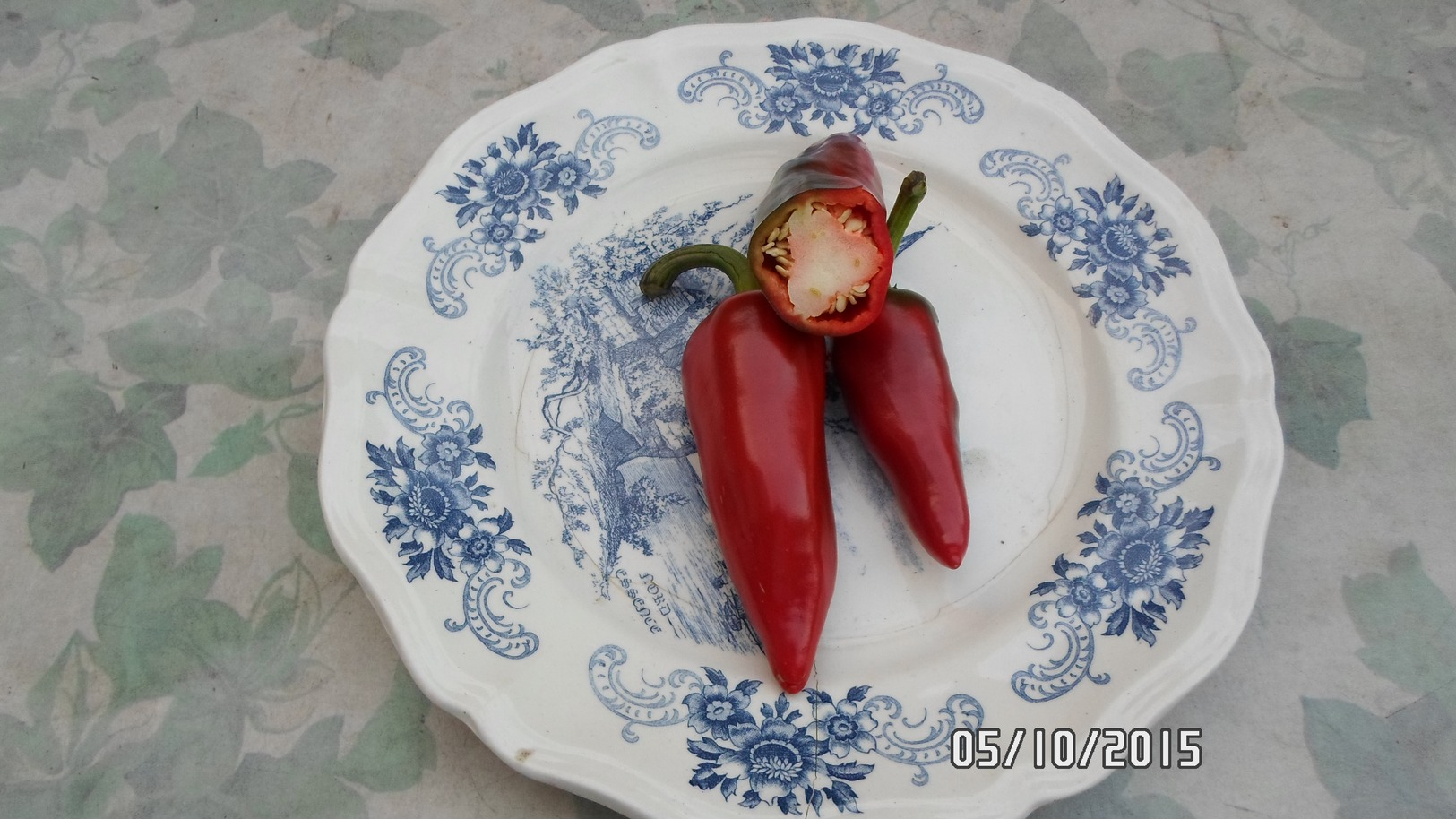 Semence Potagère : + De 10 Variétés De Graines De Tomates Et Piment - Other & Unclassified