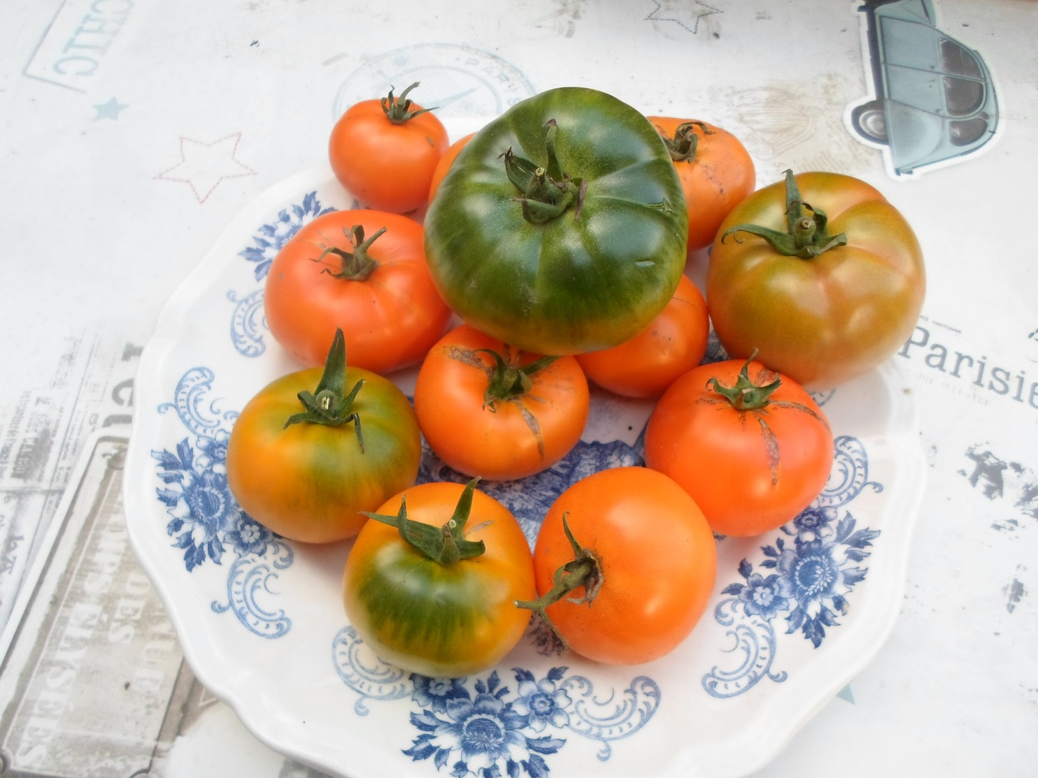 Semence potagère : + de 10 variétés de graines de tomates et piment