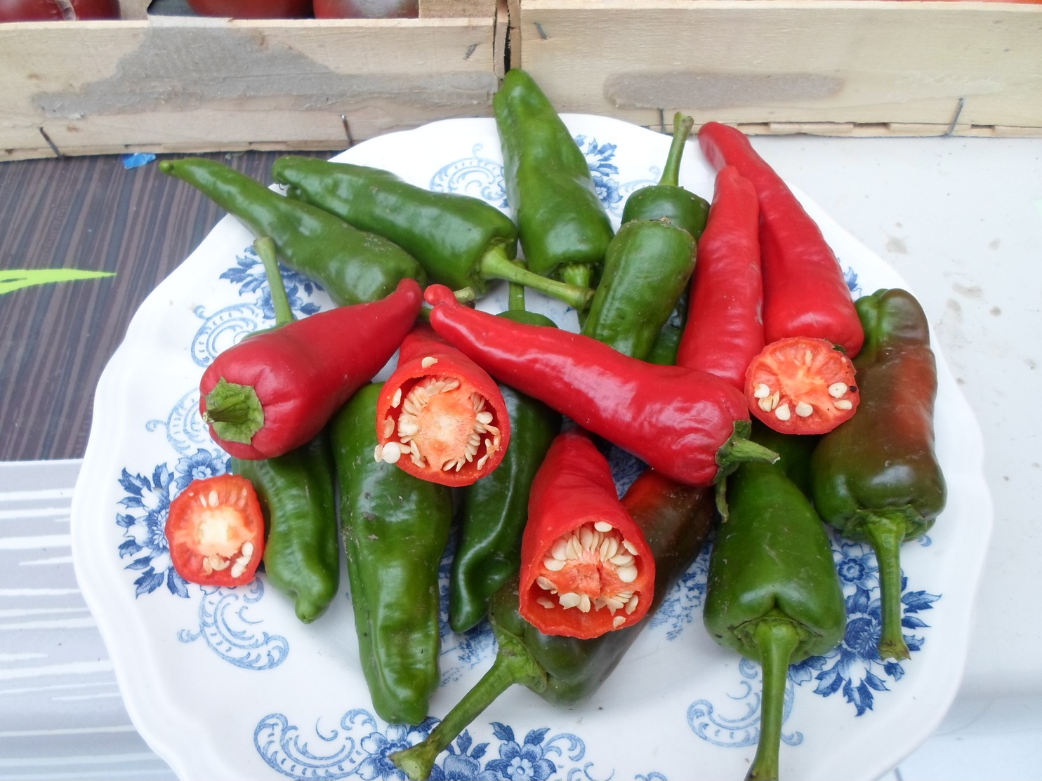 Semence potagère : + de 10 variétés de graines de tomates et piment