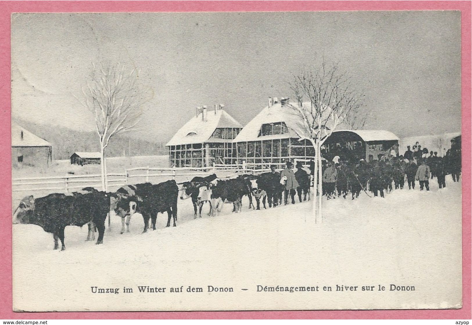 Vogesen - 67 - DONON - Déménagement En Hiver - Umzug Im Winter - Remorque GREINER Tirée Par Des Boeufs - Otros & Sin Clasificación