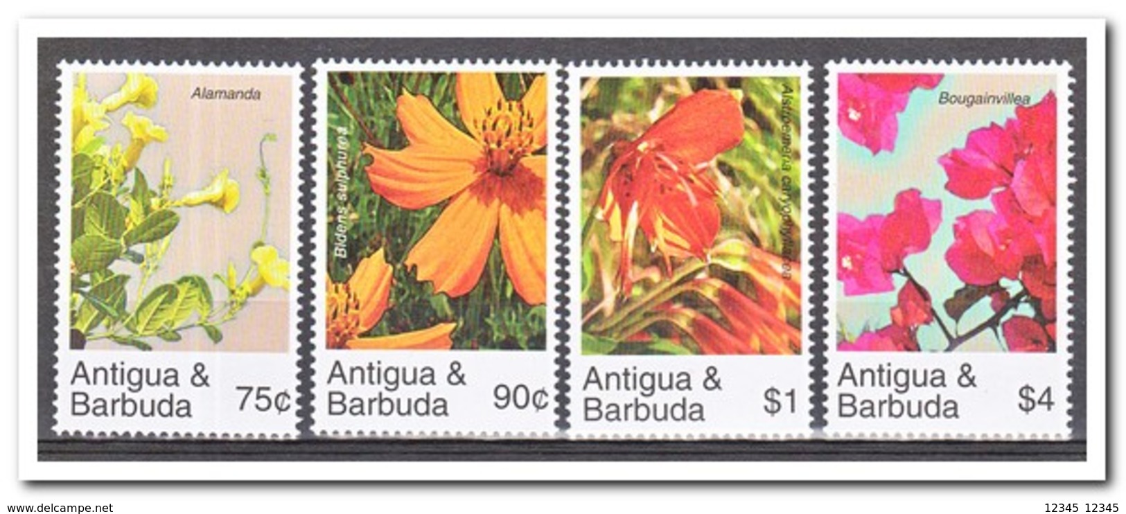 Antigua & Barbuda 2007, Postfris MNH, Flowers - Antigua En Barbuda (1981-...)