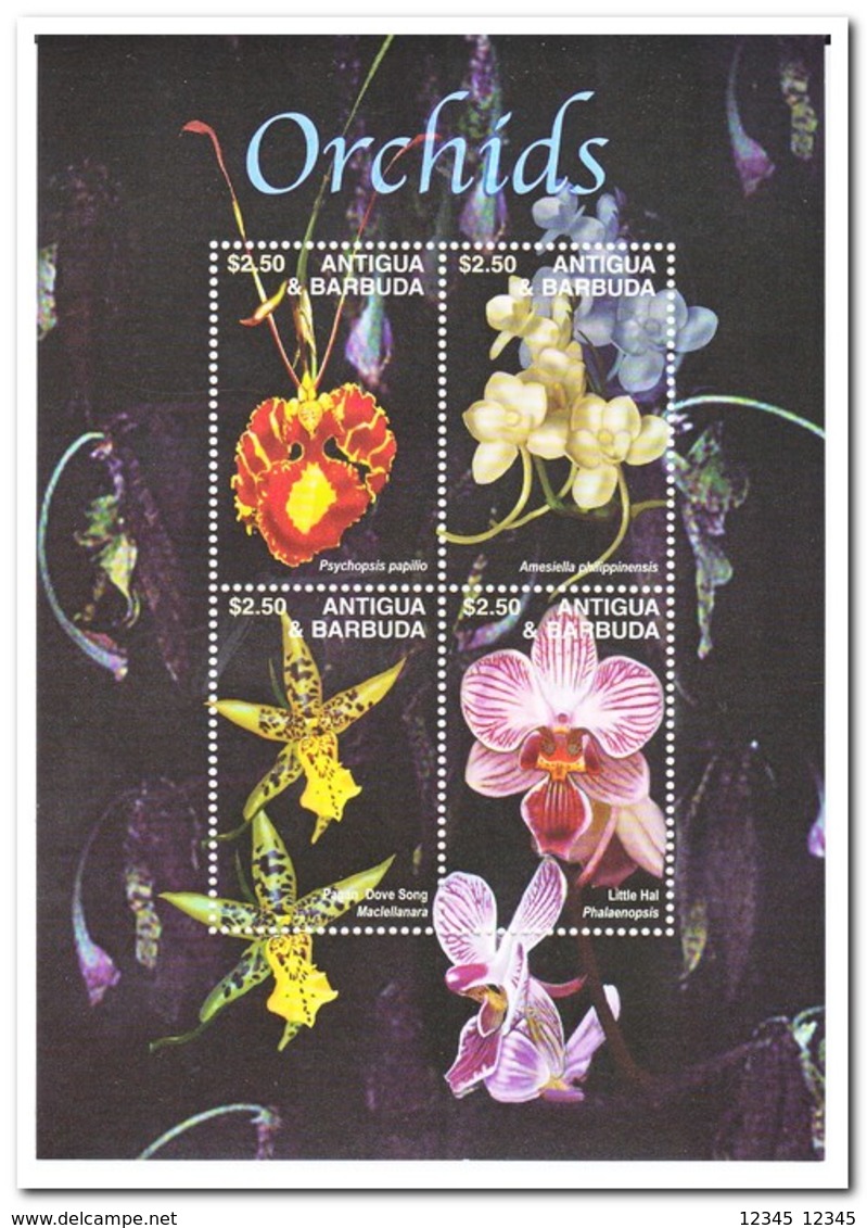 Antigua & Barbuda 2003, Postfris MNH, Flowers, Orchids - Antigua En Barbuda (1981-...)