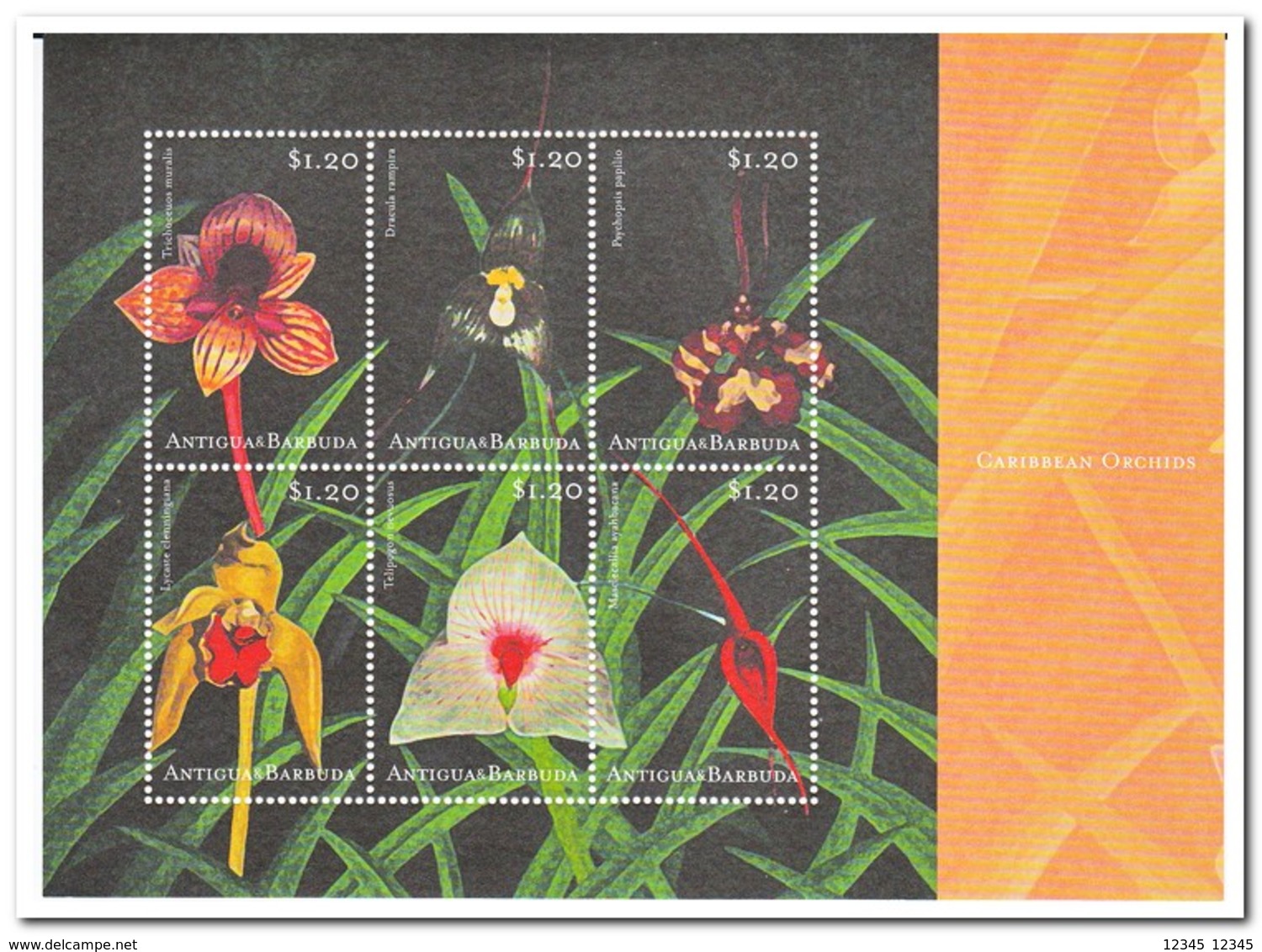 Antigua & Barbuda 2001, Postfris MNH, Flowers, Orchids - Antigua En Barbuda (1981-...)