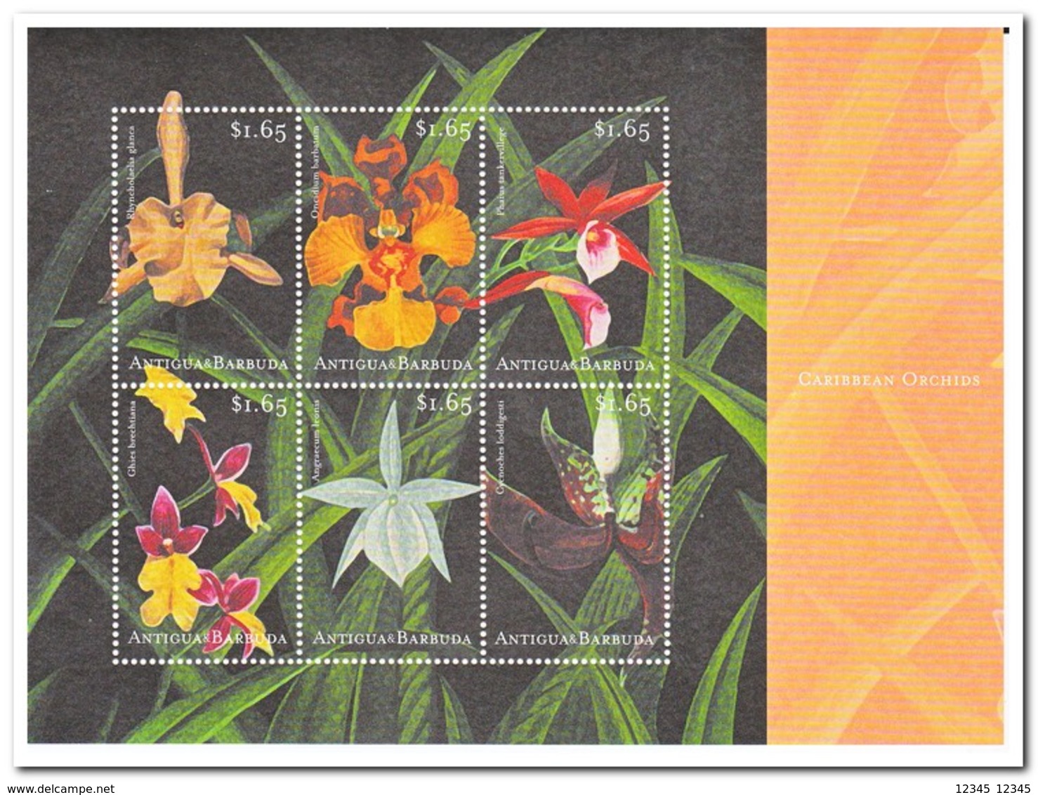 Antigua & Barbuda 2001, Postfris MNH, Flowers, Orchids - Antigua En Barbuda (1981-...)