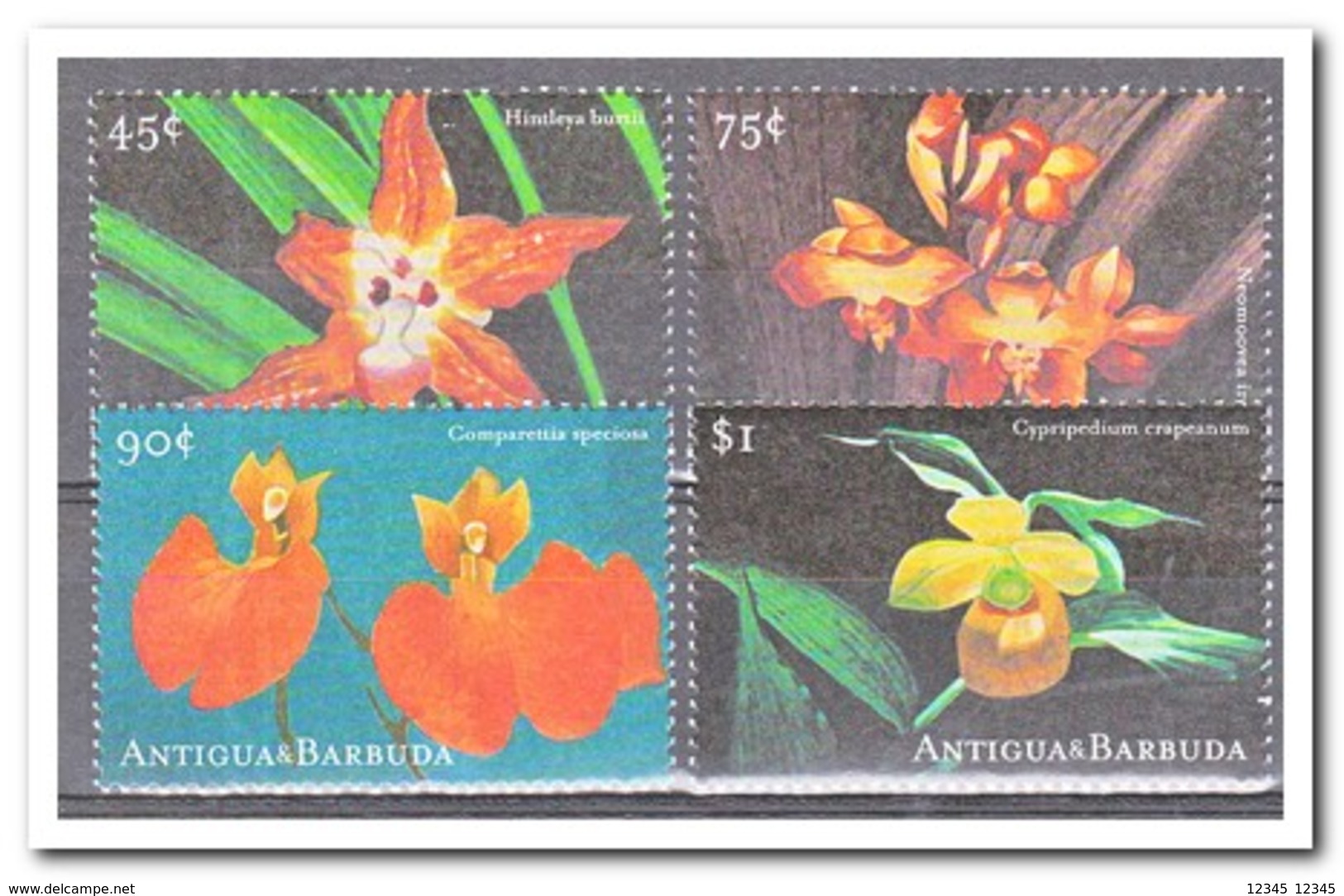 Antigua & Barbuda 2001, Postfris MNH, Flowers, Orchids - Antigua En Barbuda (1981-...)