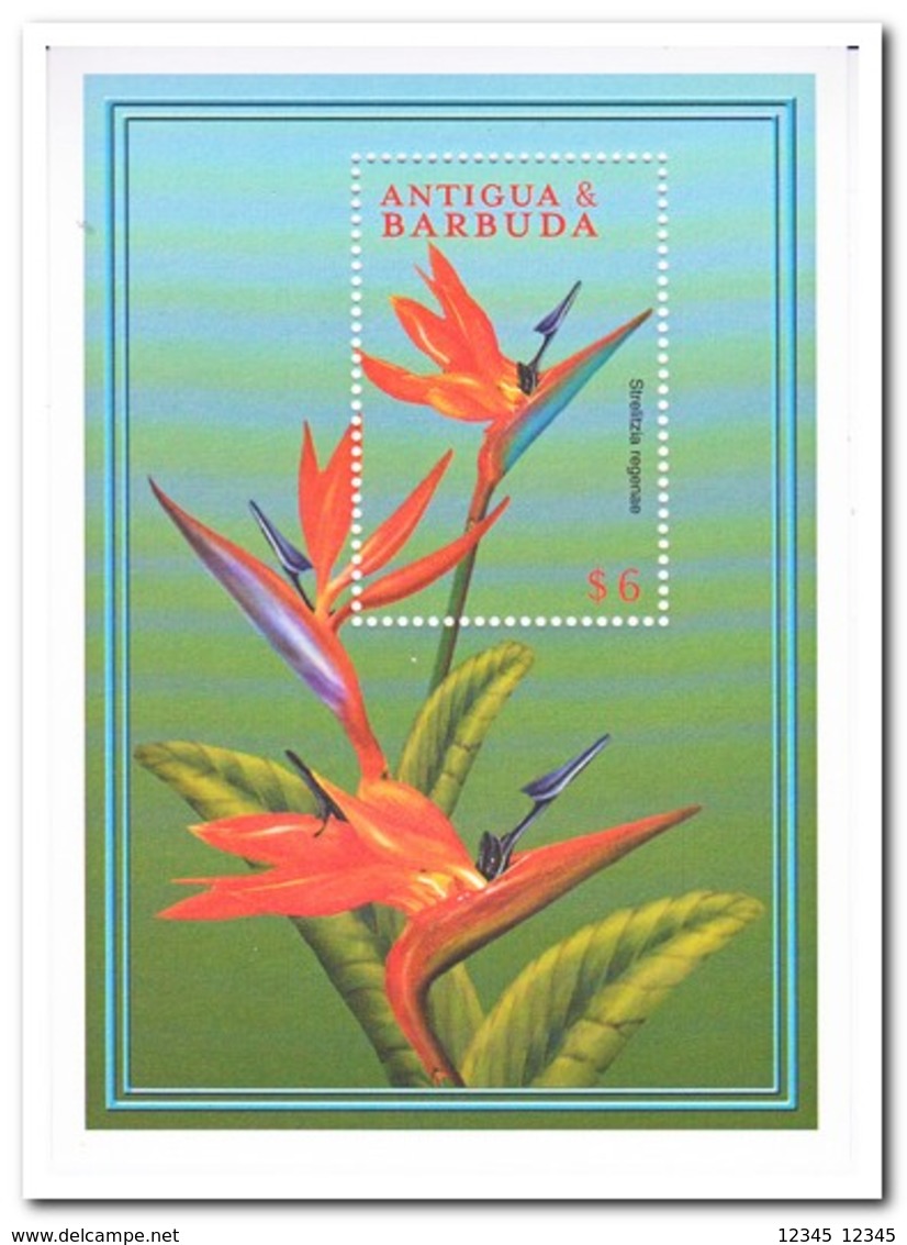 Antigua & Barbuda 2000, Postfris MNH, Flowers - Antigua En Barbuda (1981-...)