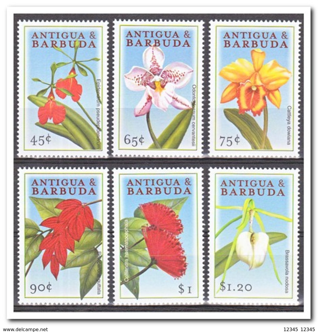 Antigua & Barbuda 2000, Postfris MNH, Flowers, Orchids - Antigua E Barbuda (1981-...)