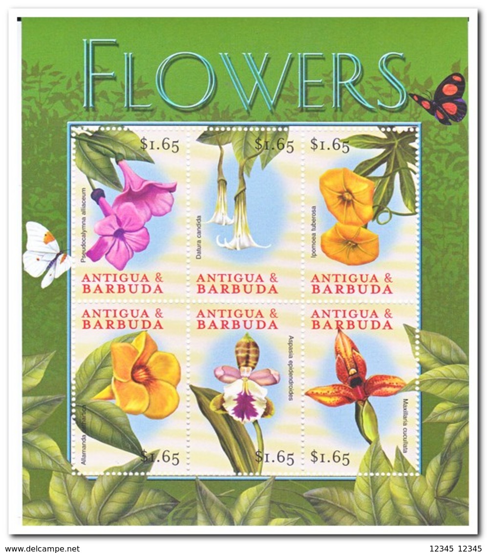 Antigua & Barbuda 2000, Postfris MNH, Flowers, Orchids - Antigua En Barbuda (1981-...)