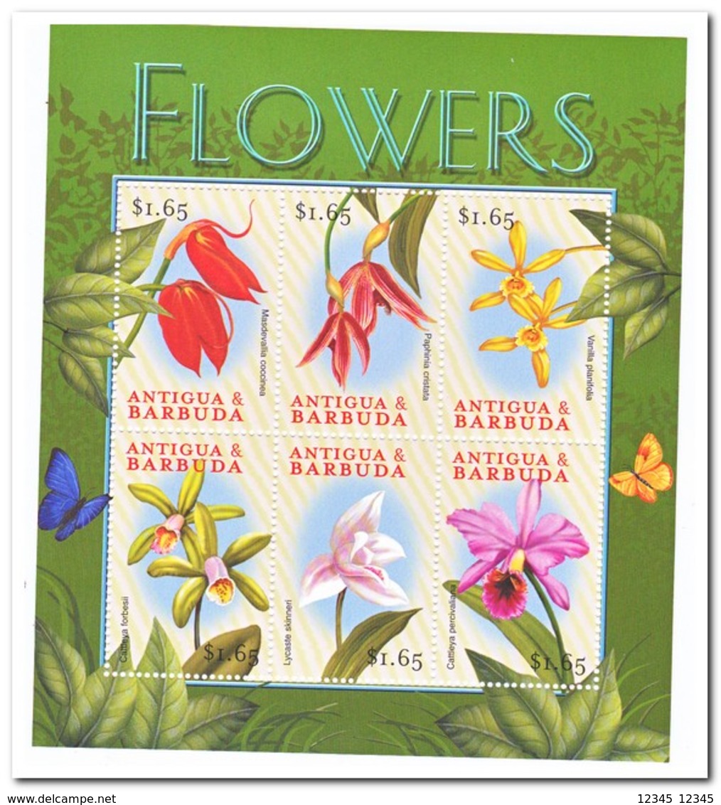 Antigua & Barbuda 2000, Postfris MNH, Flowers, Orchids - Antigua En Barbuda (1981-...)