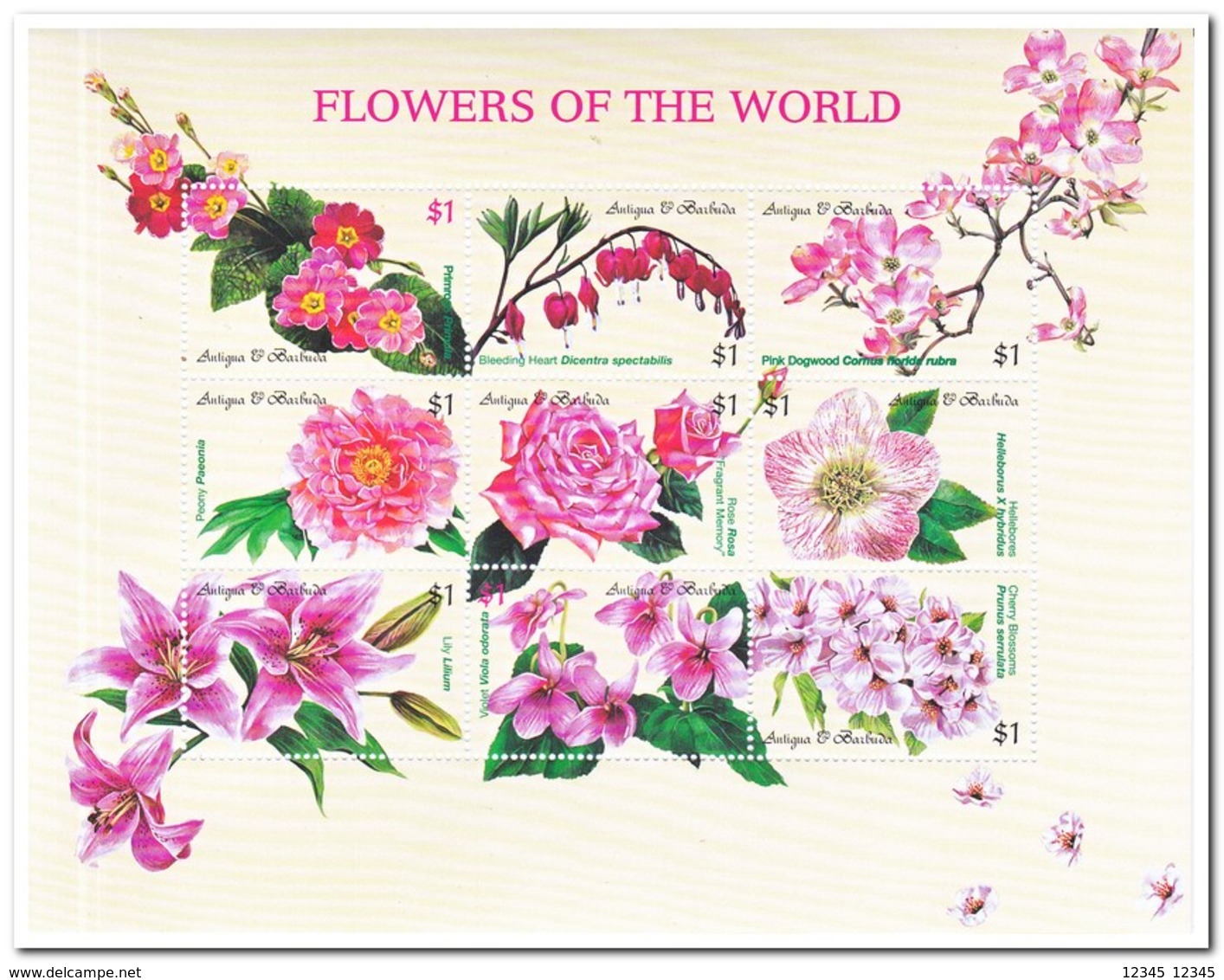 Antigua & Barbuda 1999, Postfris MNH, Flowers - Antigua En Barbuda (1981-...)