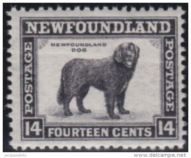 Newfoundland          .   SG   .      216          .      **     .      MNH    .   /   .     Postfris - 1908-1947