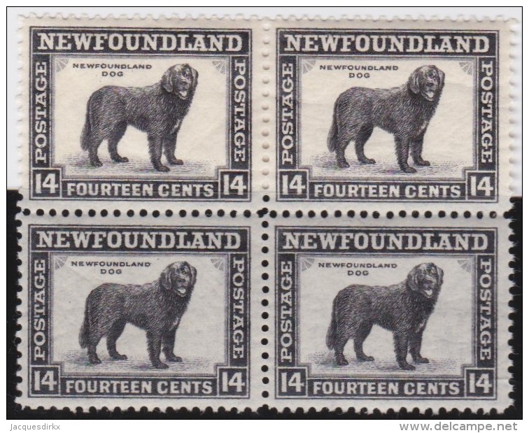 Newfoundland          .   SG   .      216   Bloc Of 4       .      **     .      MNH    .   /   .     Postfris - 1908-1947