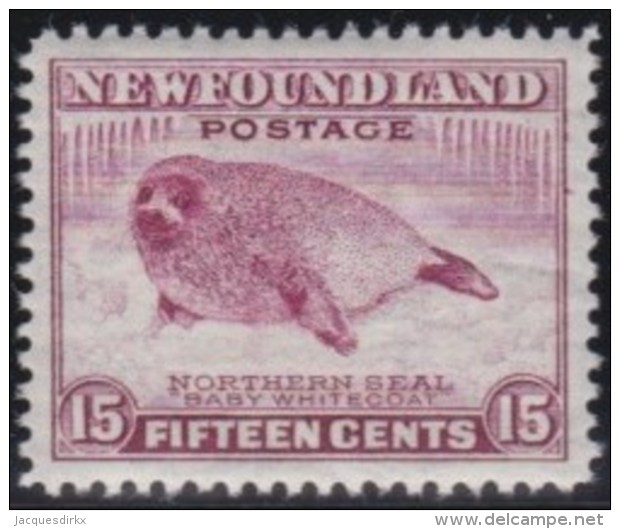 Newfoundland          .   SG   .      217      .      **     .      MNH    .   /   .     Postfris - 1908-1947