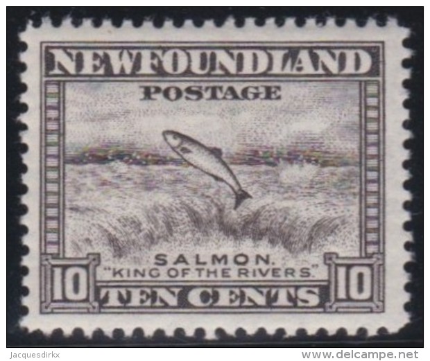 Newfoundland          .   SG   .      215      .      **     .      MNH    .   /   .     Postfris - 1908-1947