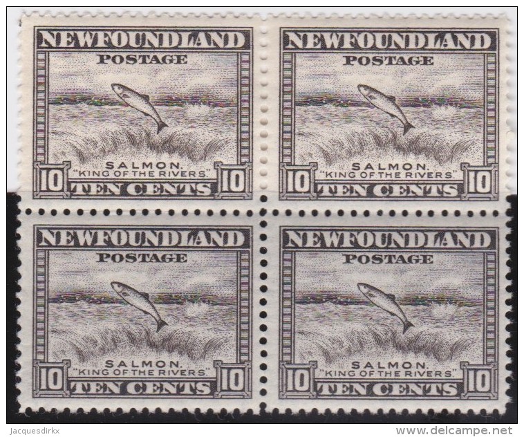 Newfoundland          .   SG   .      215   Bloc Of 4    .      **     .      MNH    .   /   .     Postfris - 1908-1947