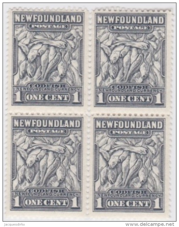 Newfoundland          .   SG   .      222  Bloc  Of  4.      **     .      MNH    .   /   .     Postfris - 1908-1947