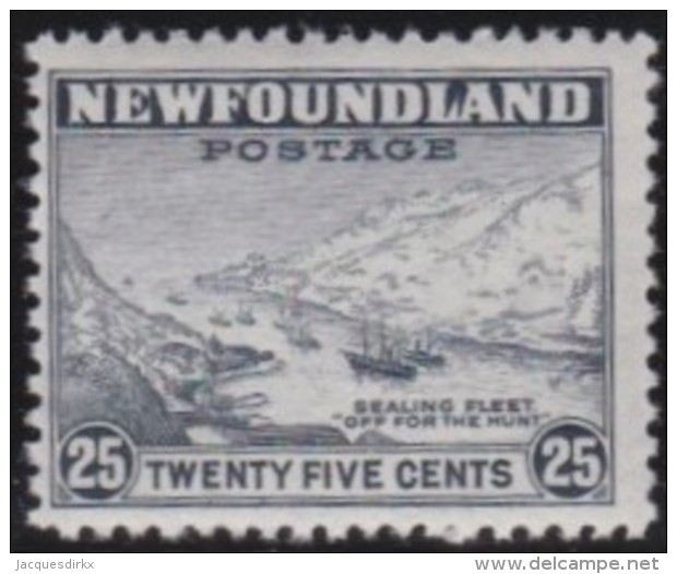 Newfoundland          .   SG   .      291     .      **     .      MNH    .   /   .     Postfris - 1908-1947