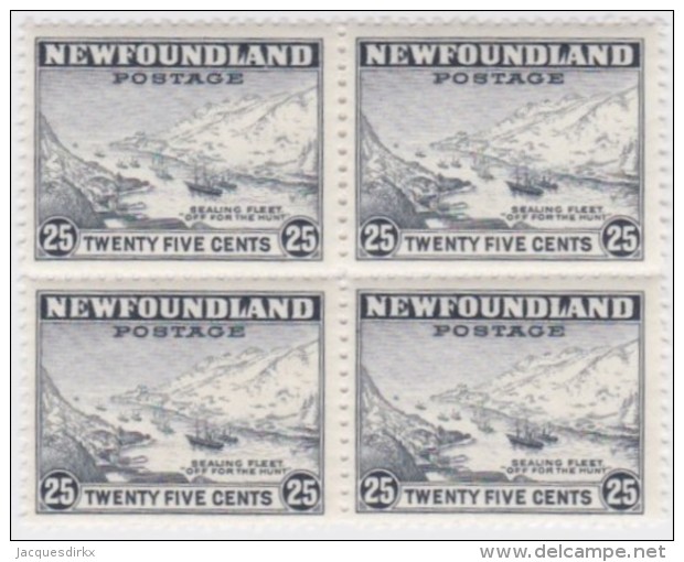 Newfoundland          .   SG   .      291   Bloc  Of  4    .      **     .      MNH    .   /   .     Postfris - 1908-1947