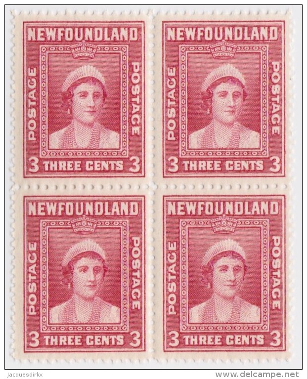 Newfoundland          .   SG   .      269   Bloc  Of  4   .      **     .      MNH    .   /   .     Postfris - 1908-1947