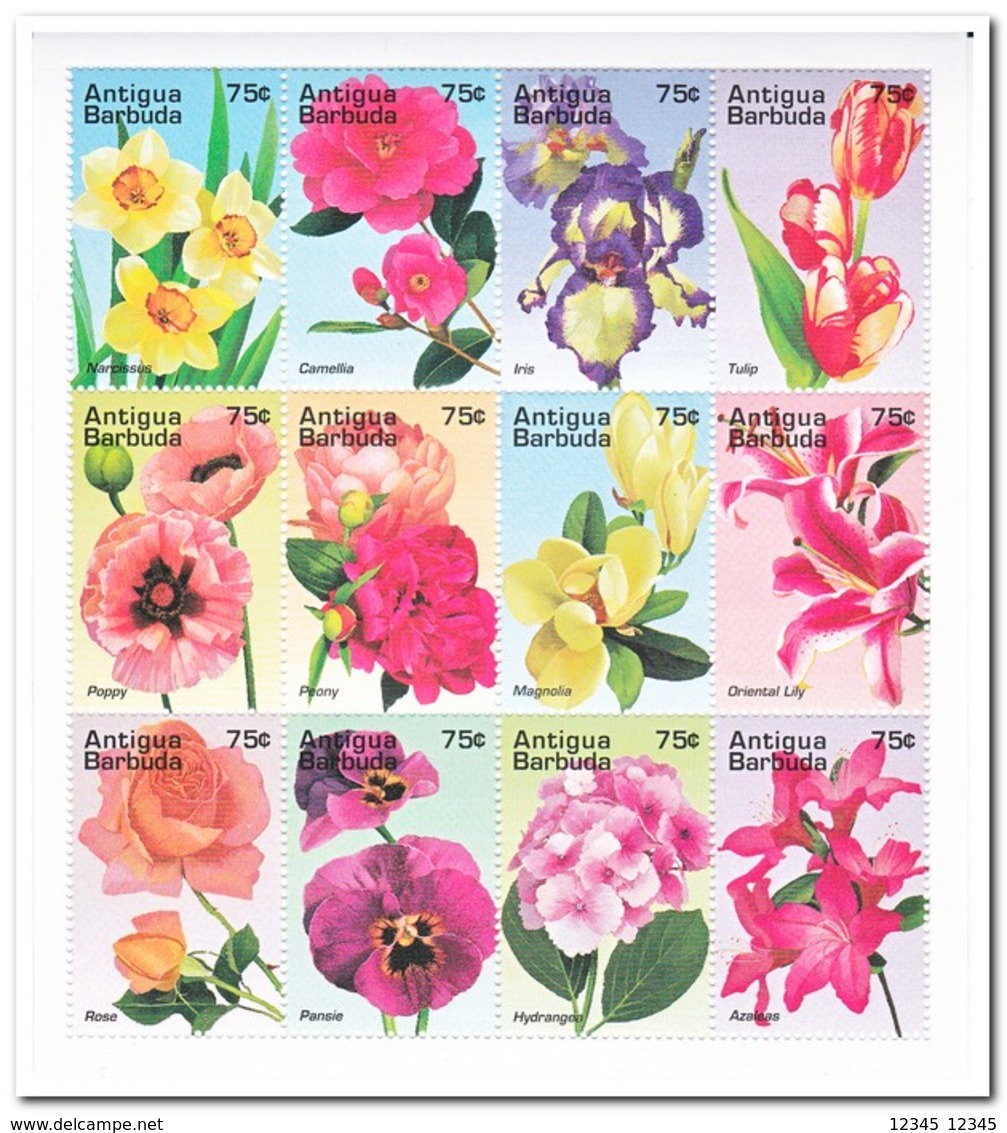 Antigua & Barbuda 1995, Postfris MNH, Flowers - Antigua En Barbuda (1981-...)