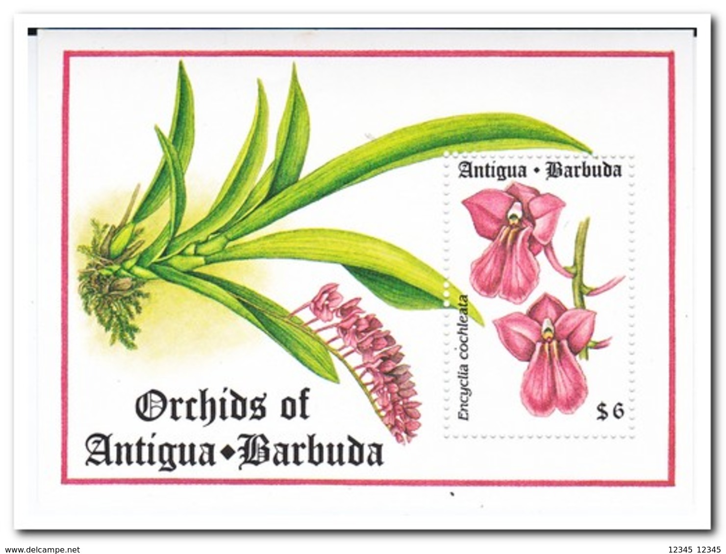 Antigua & Barbuda 1994, Postfris MNH, Flowers, Orchids - Antigua En Barbuda (1981-...)