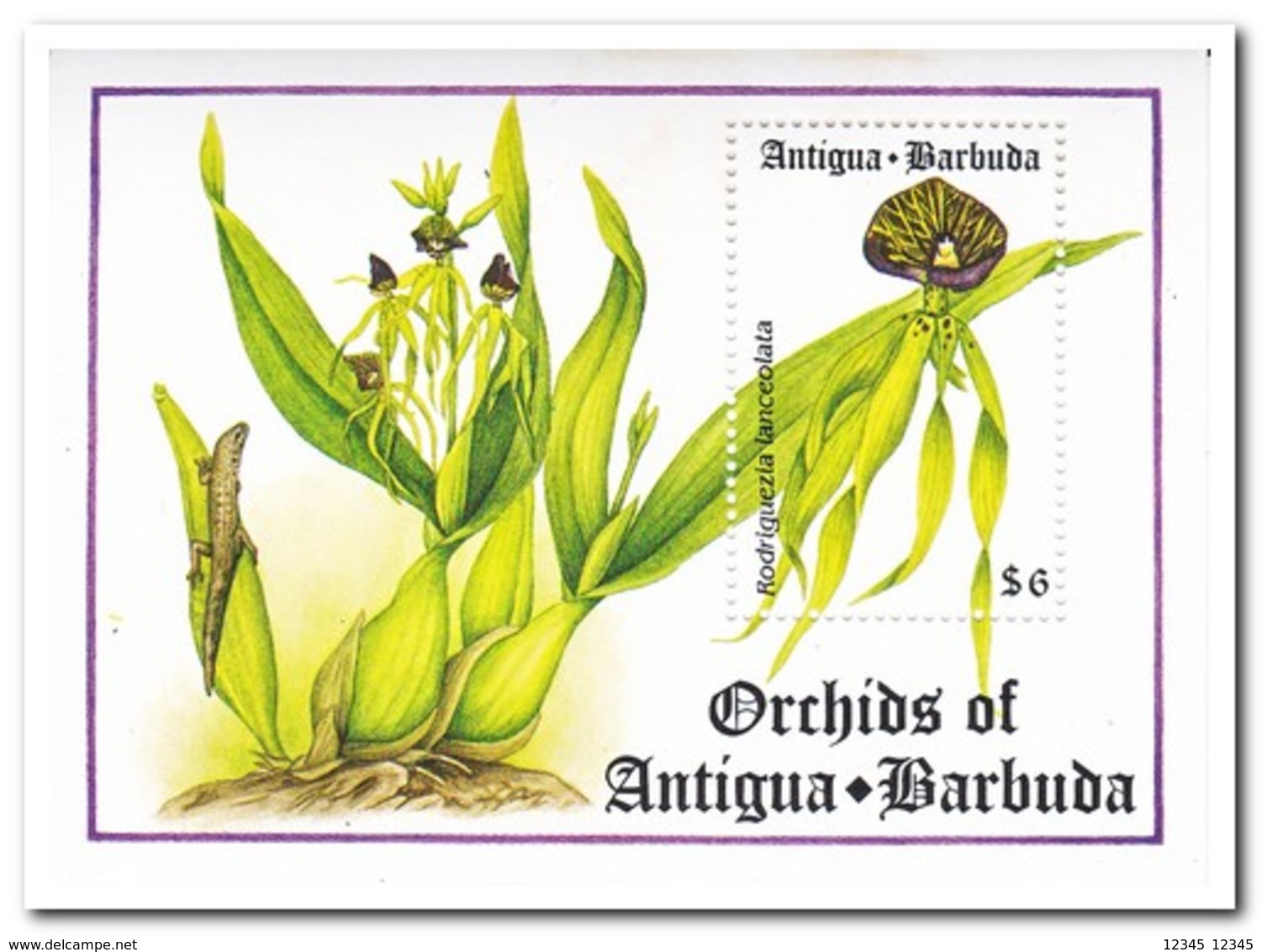 Antigua & Barbuda 1994, Postfris MNH, Flowers, Orchids - Antigua En Barbuda (1981-...)