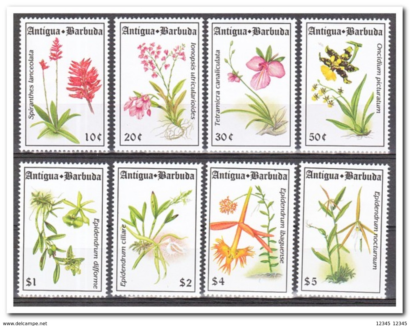 Antigua & Barbuda 1994, Postfris MNH, Flowers, Orchids - Antigua E Barbuda (1981-...)