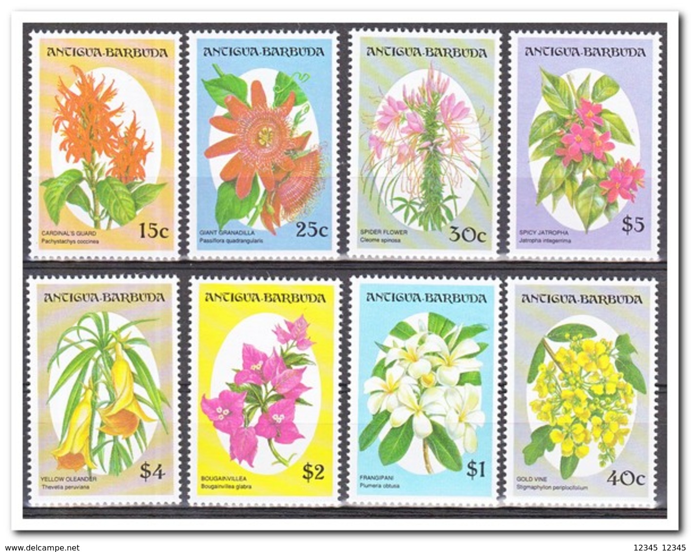 Antigua & Barbuda 1993, Postfris MNH, Flowers - Antigua Und Barbuda (1981-...)