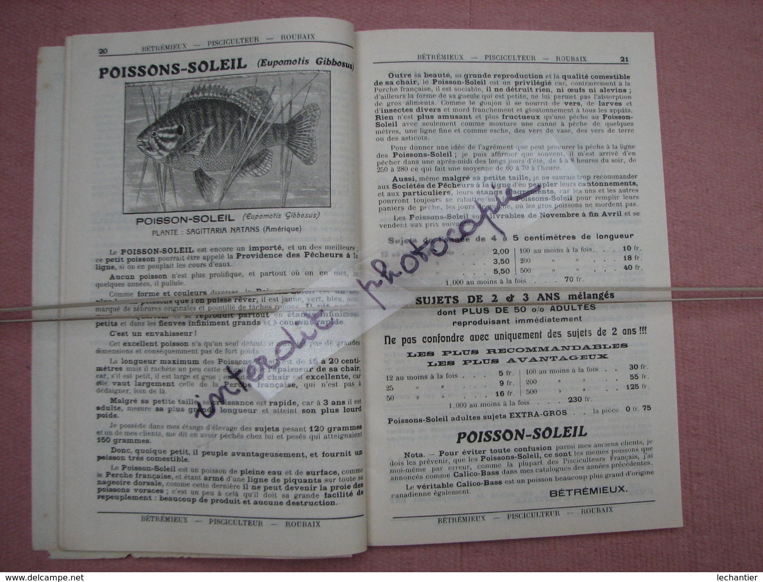 Poissons De Repeuplement Et D'aquariums 1911/1912 Super Catalogue - 1900 – 1949