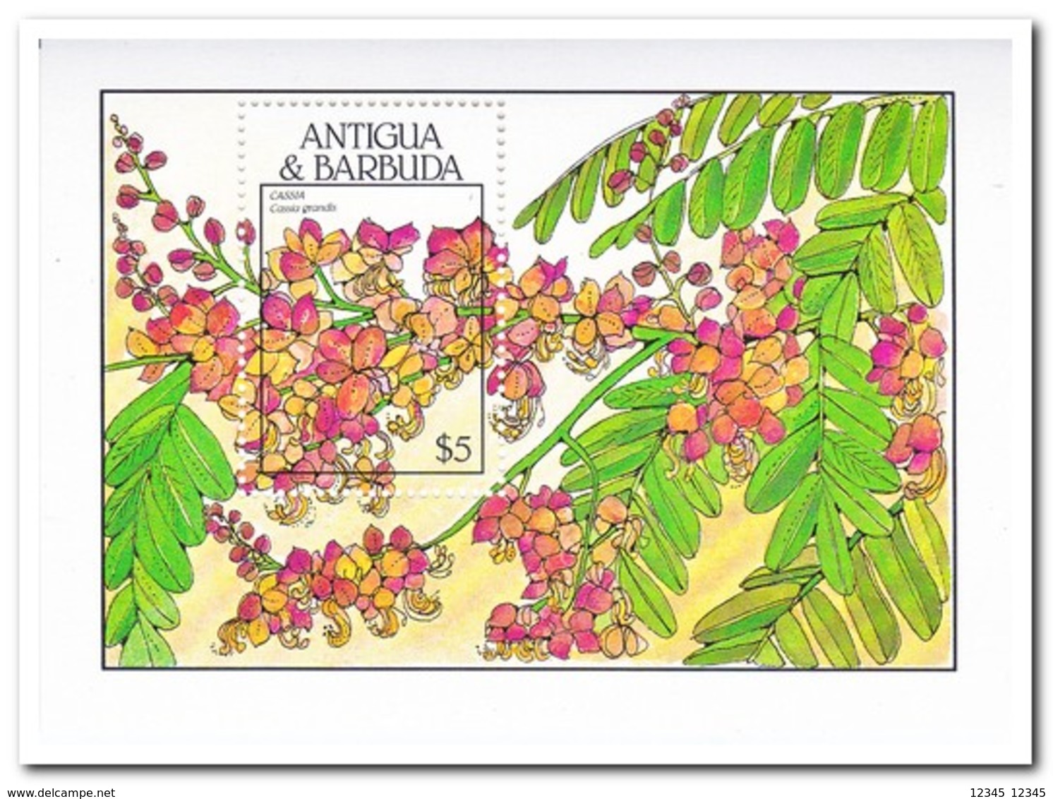 Antigua & Barbuda 1988, Postfris MNH, Flowers - Antigua En Barbuda (1981-...)