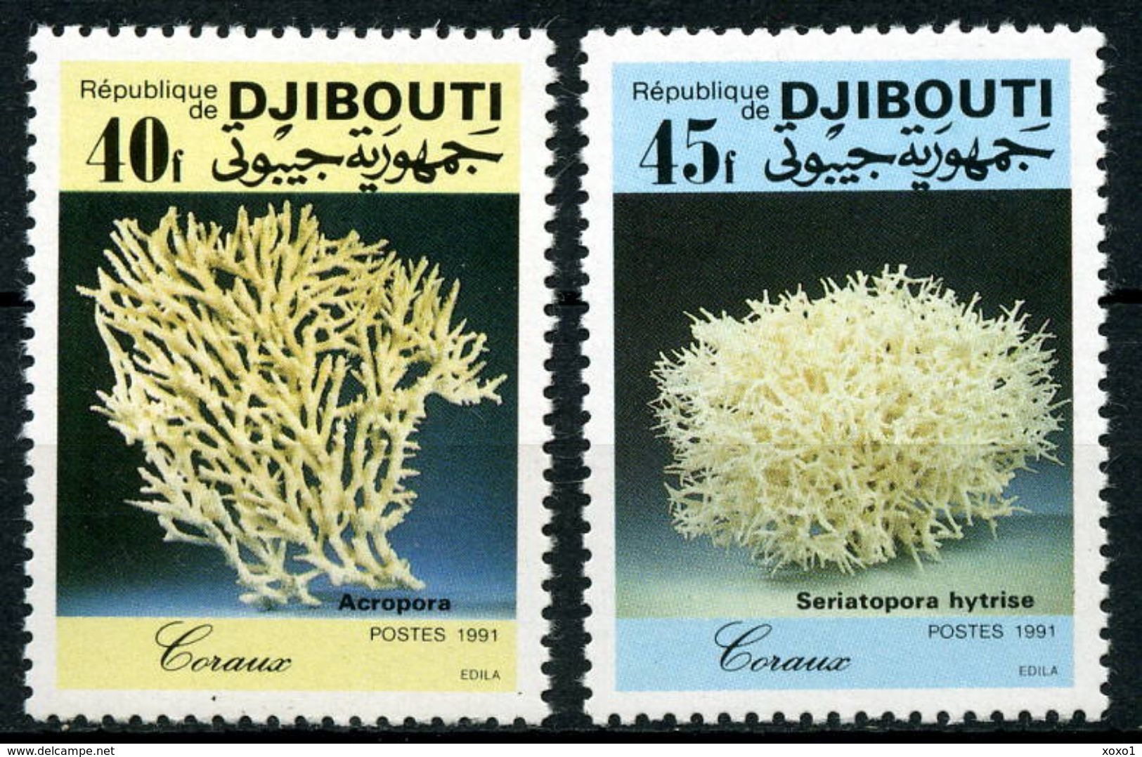 Djibouti 1991 Marine Life Corals Korallen 2v MNH** - Maritiem Leven