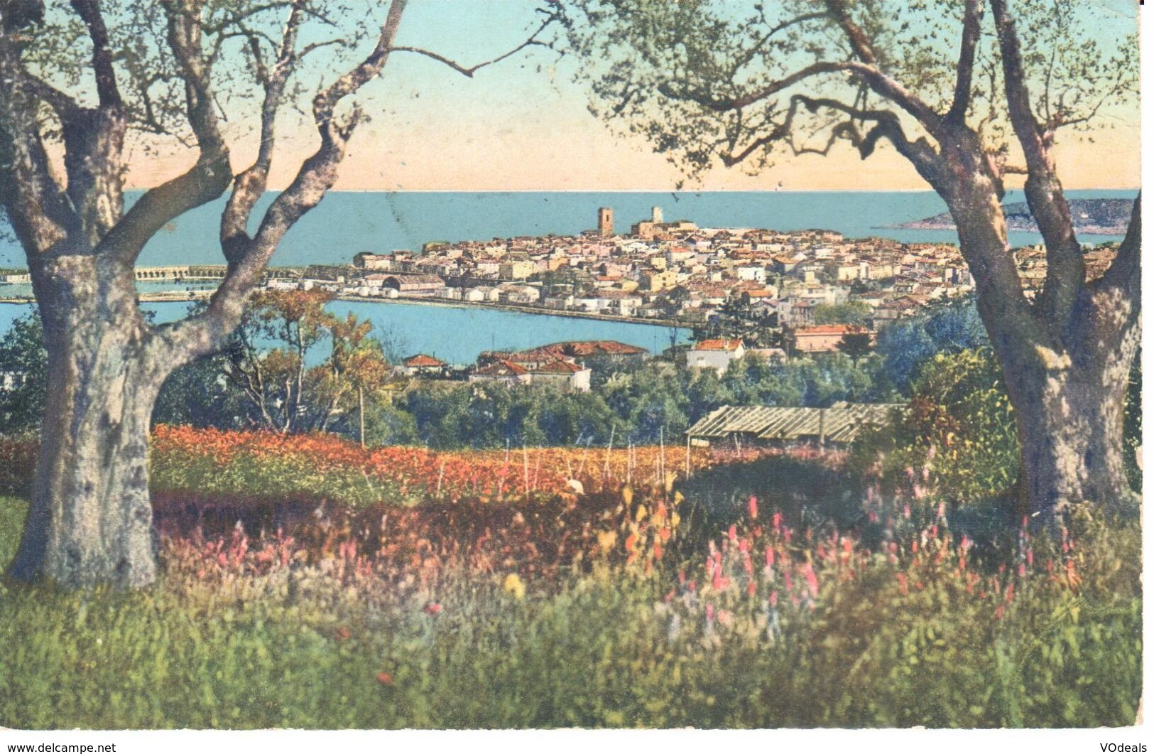 (06) Alpes Maritime - CPA - Antibes - Panorama - Autres & Non Classés