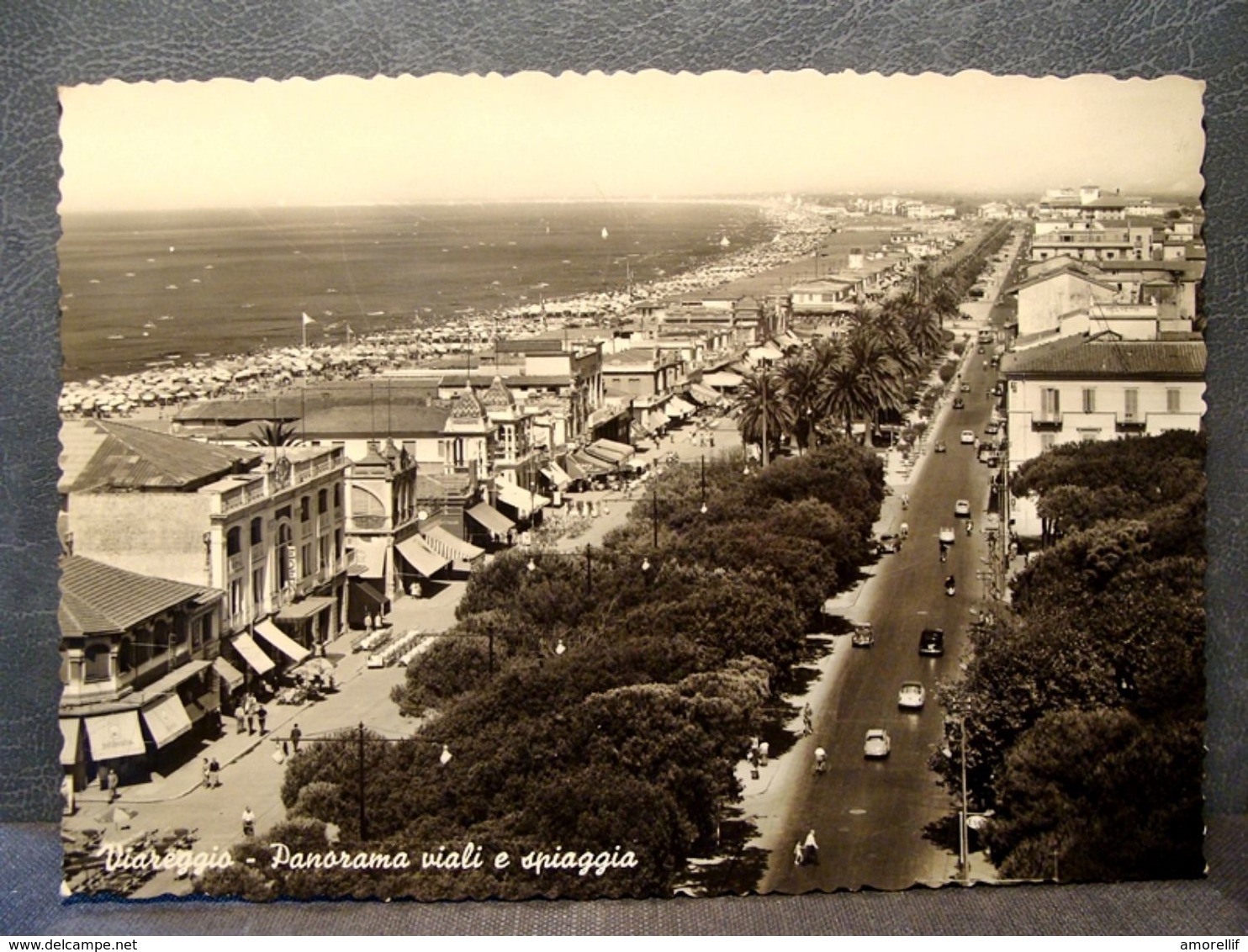 (FG.R77) Panorama Di VIAREGGIO - VIALE E SPIAGGIA (LUCCA) Francobollo Rimosso, Annullo ORTA DI ATELLA - Viareggio