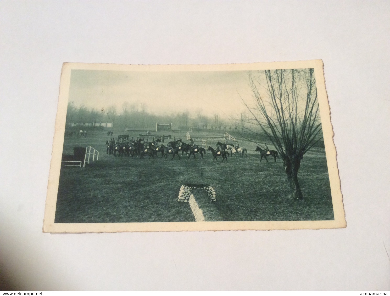 TORINO - Scuola D’applicazione D’Artiglieria E Genio, Campo Ostacoli Di Sassi, Equitazione - Cartolina FP V 1938 - Stadiums & Sporting Infrastructures