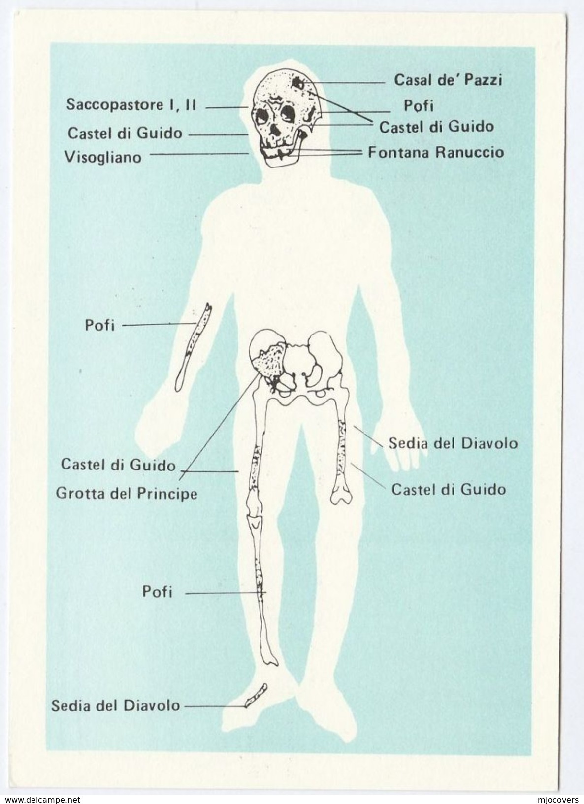 1985 TORINO Archaeology PREHISTORIC SKULL, ANATOMY Of 1ST INHABITANTS EUROPE Postal STATIONERY CARD Cover Italy Stamps - Archaeology