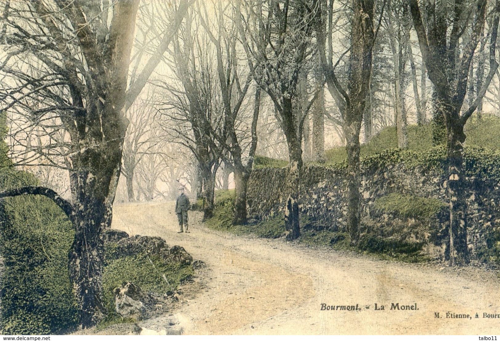 52 - Bourmont - Le Monel - Carte Legèrement Colorisée - Bourmont