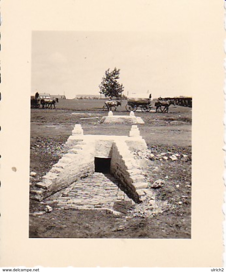 Foto Pferdegespanne Und Brücke - Osteuropa - 2. WK - 4*5,5cm (33026) - War, Military