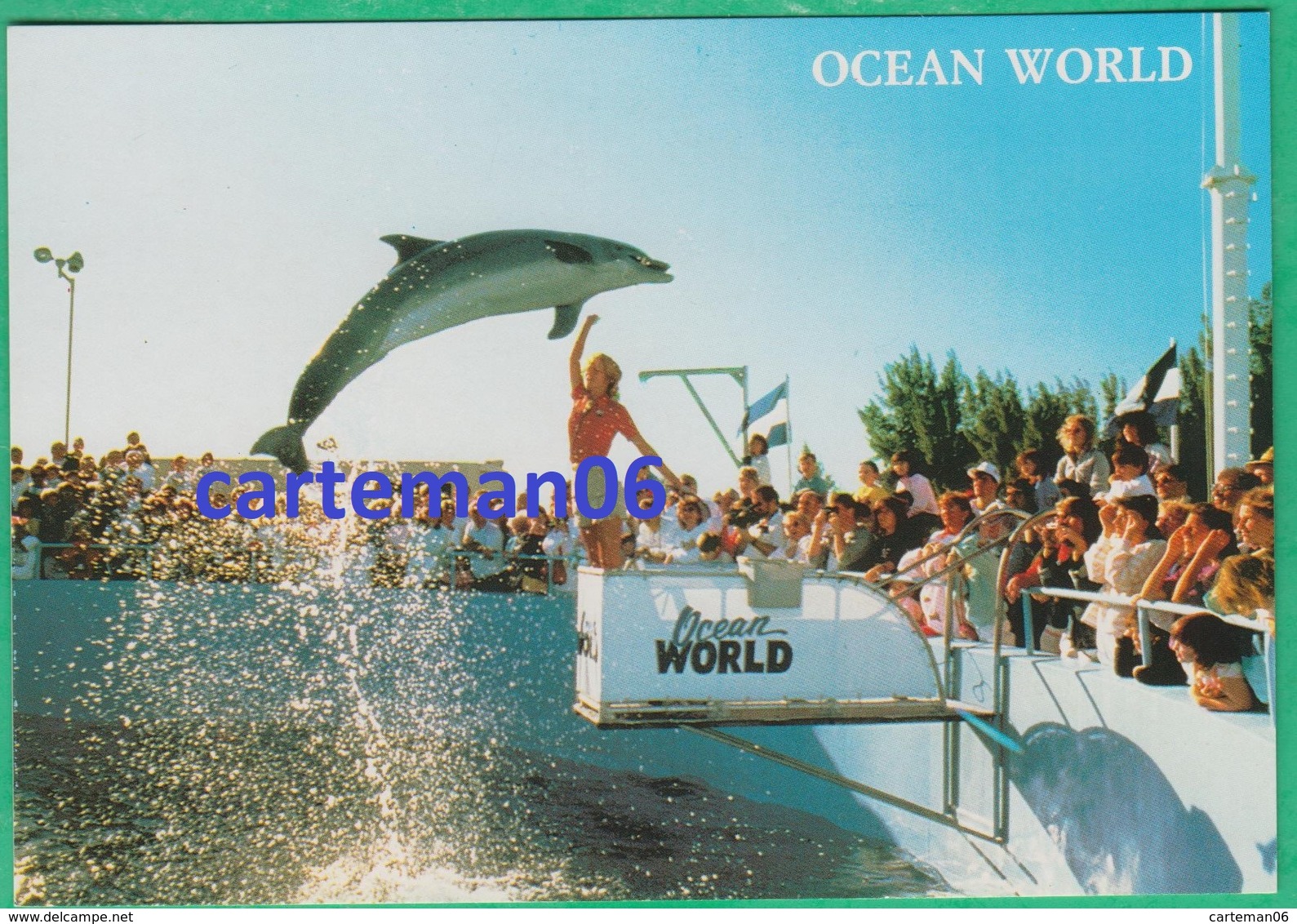 Etats-Unis - Ft. Lauderdale - Ocean World - Dolphins, Dauphin - Fort Lauderdale