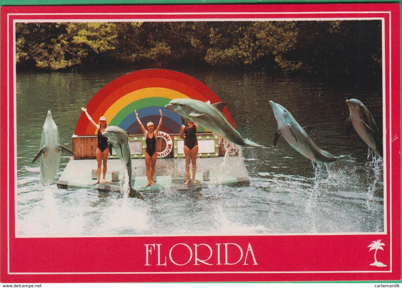 Etats-Unis - Miami Seaquarium - Dolphins, Dauphins - Miami