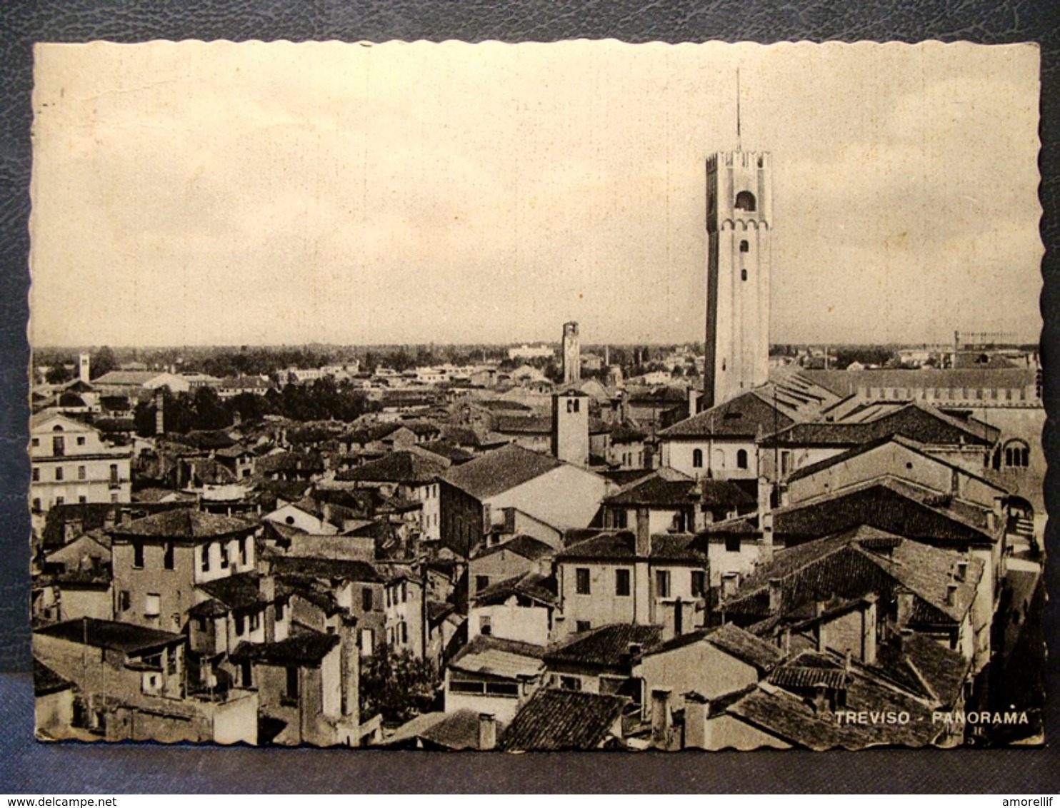 (FG.R78) Panorama Di TREVISO - VIAGGIATA 1954, Annullo ORTA DI ATELLA - Treviso
