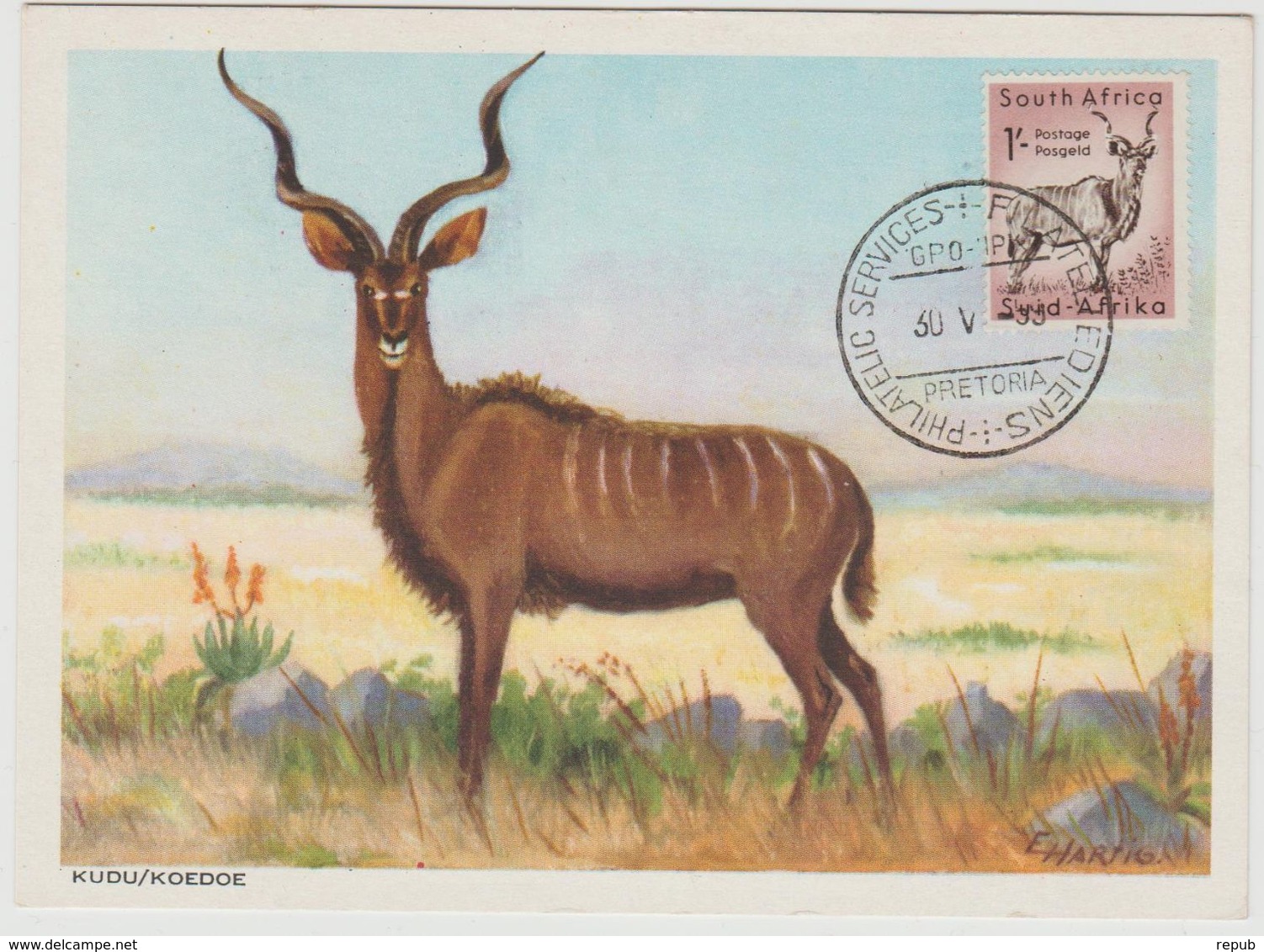 Carte Maximum Antilope - FDC