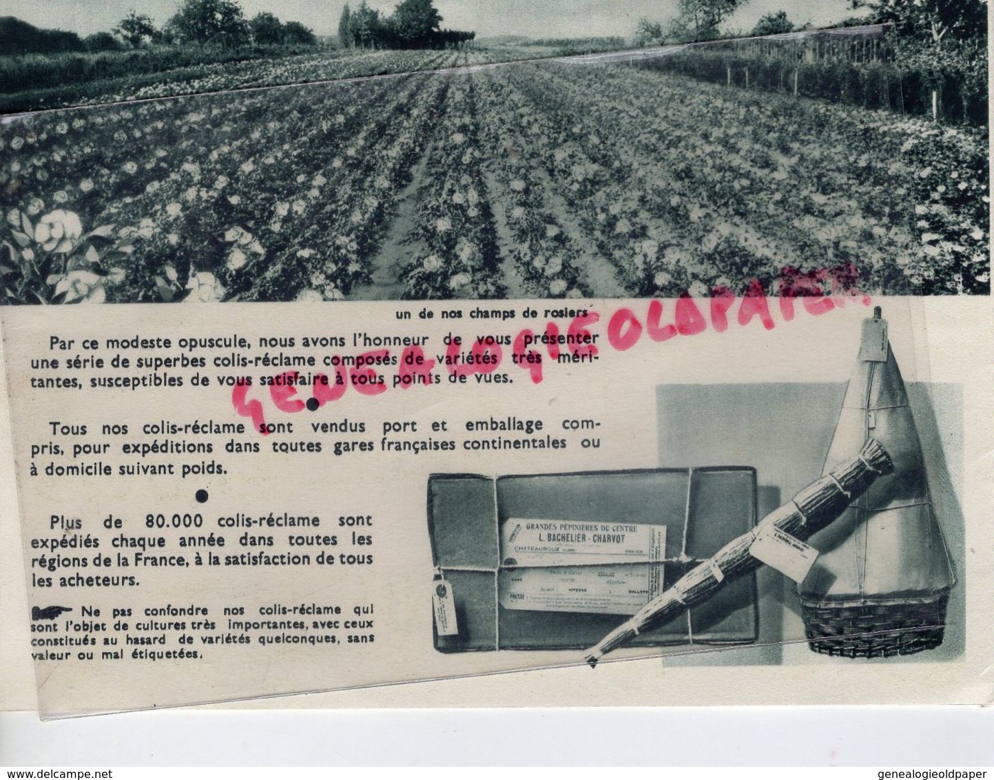 36- CHATEAUROUX- RARE DEPLIANT BACHELIER CHARVOT-ROSES-FLEURS-FRUITS-HORTICULTURE-PEPINIERES-IMPRIMERIE CRETE CORBEIL - Landwirtschaft