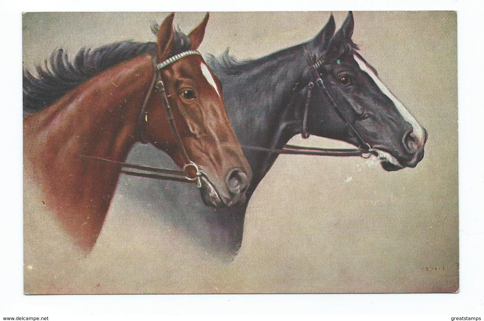 Horse Alpha Postcard Artist Signed  2025. Unused - Horses