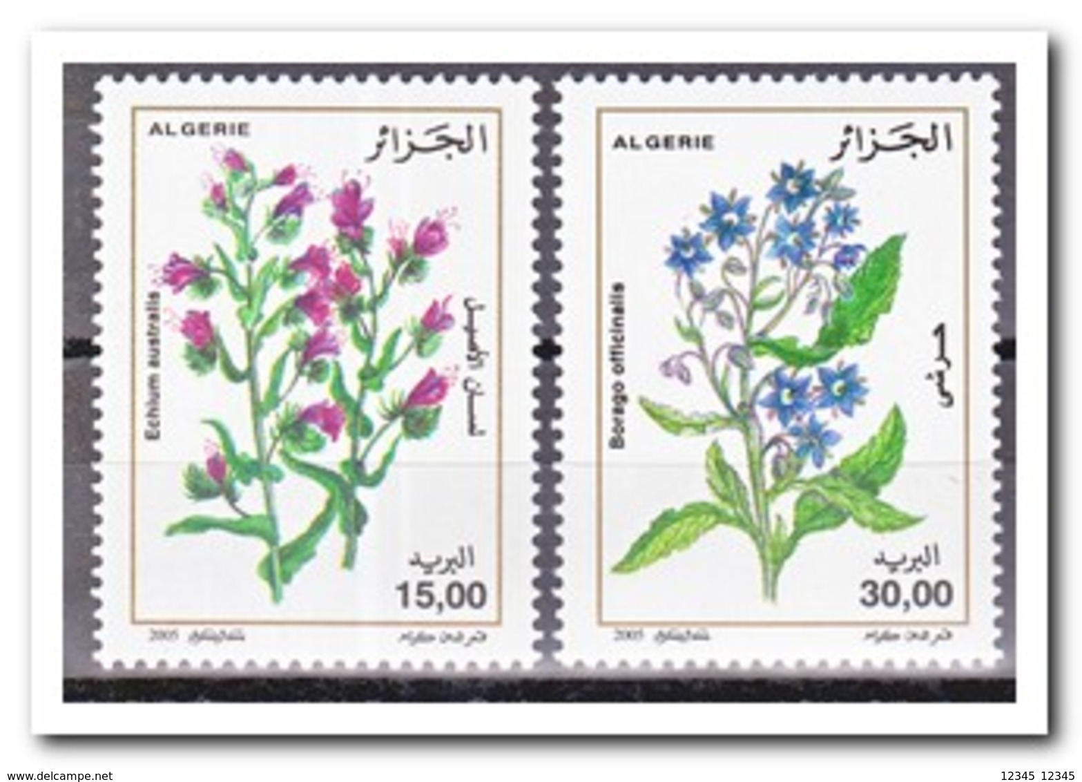 Algerije 2004, Postfris MNH, Flowers - Algerije (1962-...)