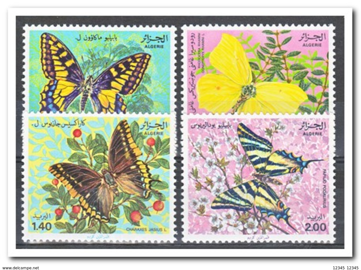 Algerije 1981, Postfris MNH, Butterflies - Algerije (1962-...)