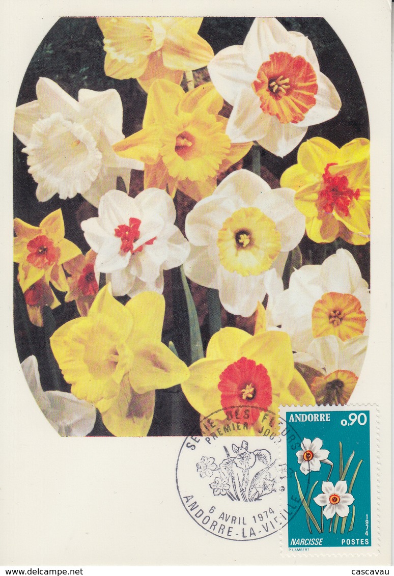 Carte  Maximum  1er  Jour  ANDORRE   Flore  :   NARCISSE   1974 - Cartes-Maximum (CM)