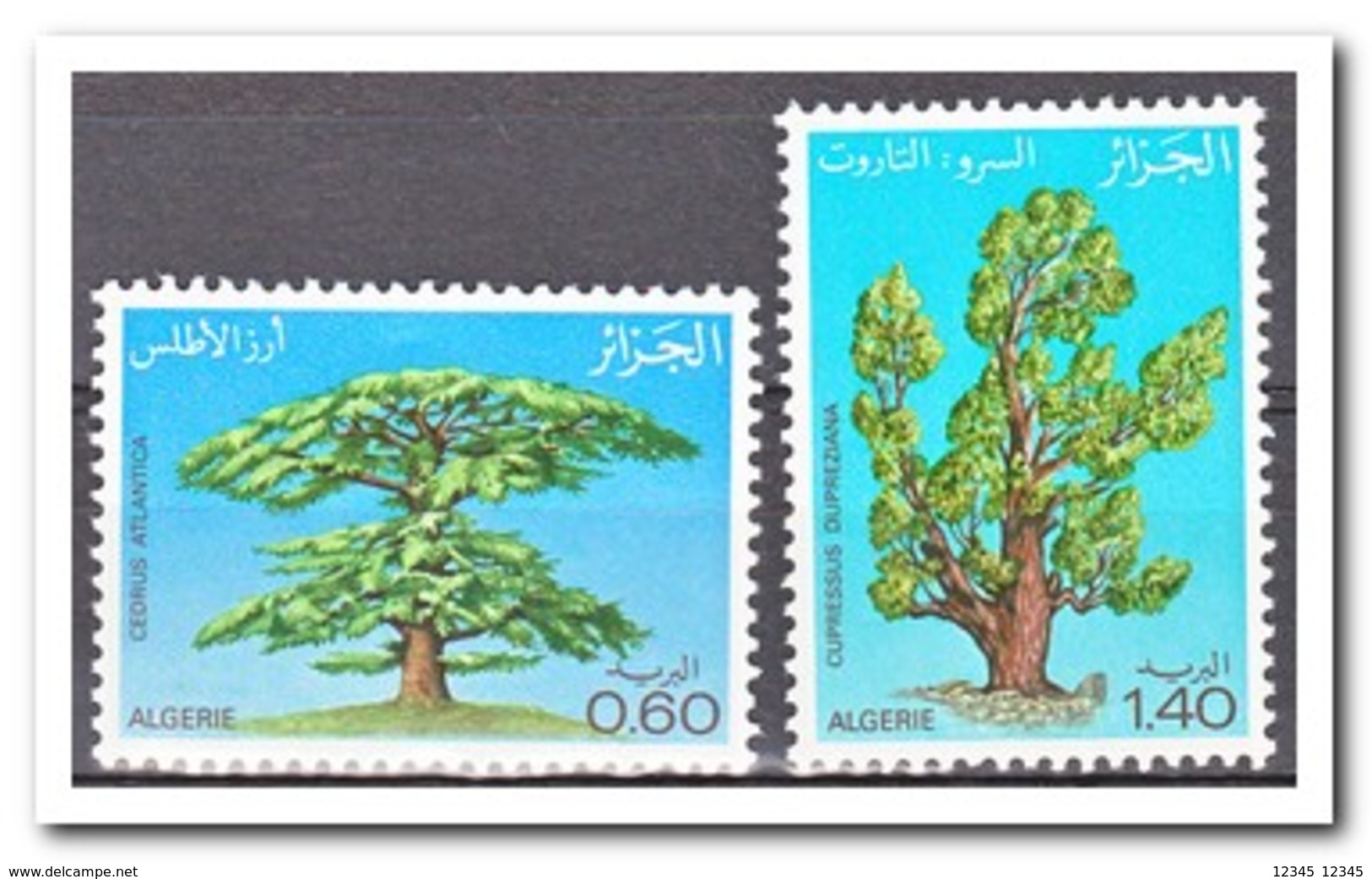 Algerije 1981, Postfris MNH, Trees - Algeria (1962-...)